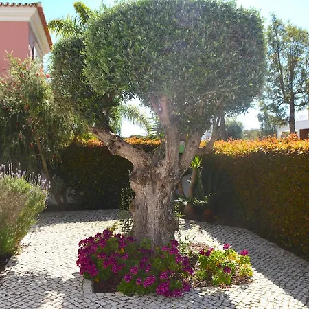Casa Das Oliveiras - Moradia De Luxo T4 Na Praia De 파로